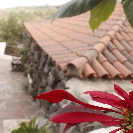 Casa Ciruelo Летний дом Икод-де-лос-Винос